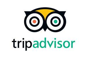 TripAdvisor and Online Reputation Management