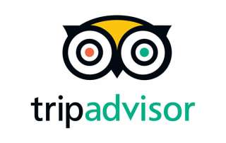 TripAdvisor and Online Reputation Management