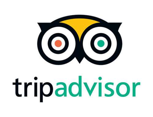 97% of Businesses on TripAdvisor worry about Online Reputation Management